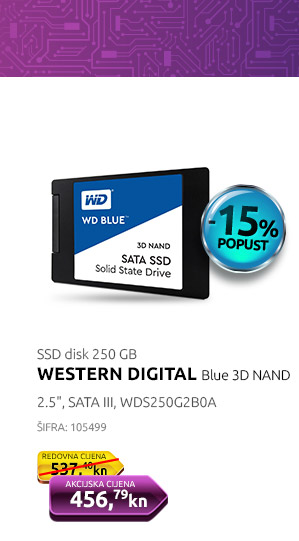 SSD disk 250 GB, WD Blue 3D NAND