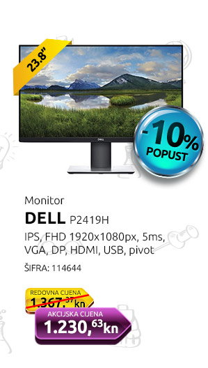 Monitor DELL P2419H